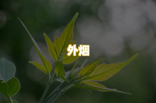外烟