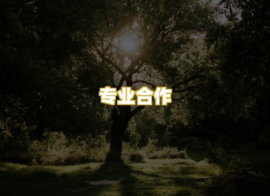 专业合作